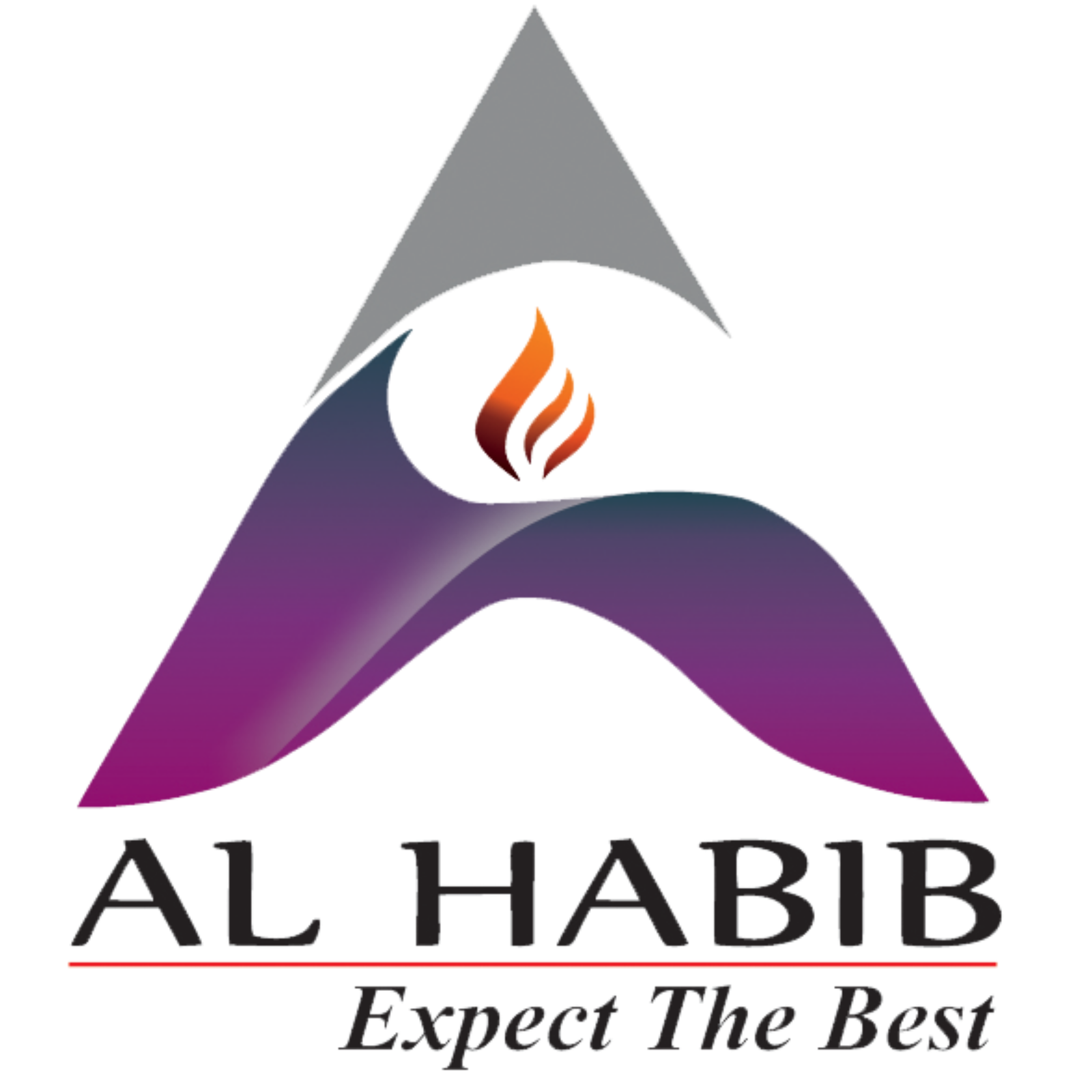 Al Habib - Real Estate & Property Development Brand Scaled by Dizora Al Habib - Real Estate & Property Development Brand Scaled by Dizora